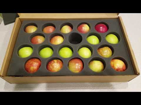 download lagu mp3 mp4 Mail Order Apples, download lagu Mail Order Apples gratis, unduh video klip Mail Order Apples