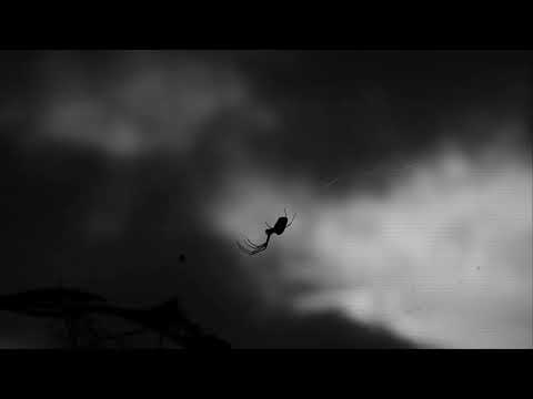 SXZ - 'Ωρα Κοινής Ανησυχίας