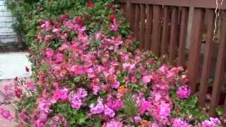 How to create a garden for the five senses