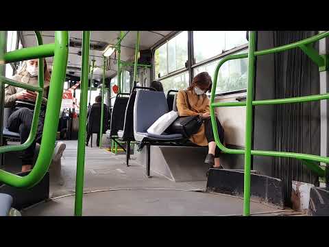 Ride with BKV #22 - Ikarus 280.49 [BPI - 810]