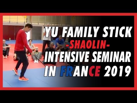 Yu Family Stick -Shaolin- Intensive Seminar in France 2019 - DK Yoo