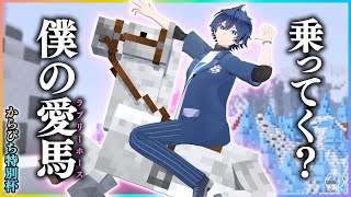 【なおきり視点】俺の愛馬が世界一！年越し馬レース🐎【カラフルピーチ】
