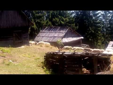 Muntele Tomnatec Comuna Repedea Part 3