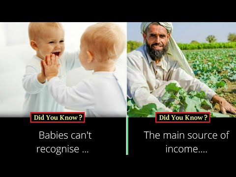 Educational Facts you should know #173 ||  Facts All Day ||