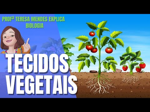 Understand what PLANT TISSUES are.