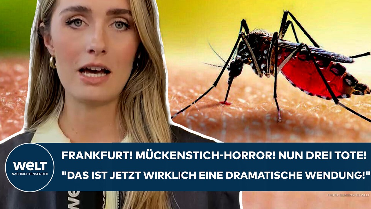 FRANKFURT: Malaria! Mückenstich-Horror! "Beunruhigende Meldung!" Jetzt zwei Tote! Was wir wissen!