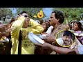 Pokiri Movie Back To Back Comedy Scenes Ali Venu Madhav Brahmanandam IDream