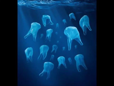 Maldita Gravedad . Gavo aka Punisher - No Hay Nailon