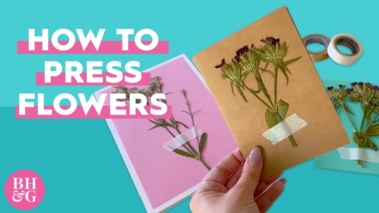 How to Make Pressed Flowers and Preserve Your Favorite Blooms | Project Joy | Better Homes & Gardens