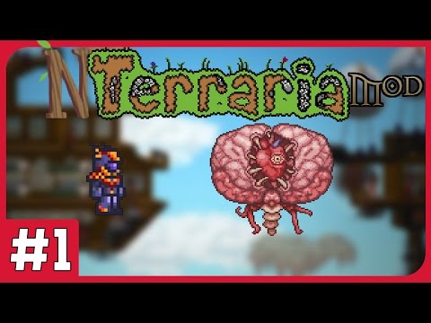 THE BEGINNING OF THE PATH || NTerraria Mod #1