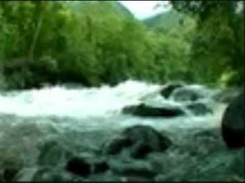 LOS HERMANOS ARELLANO TARDE NUBLADA