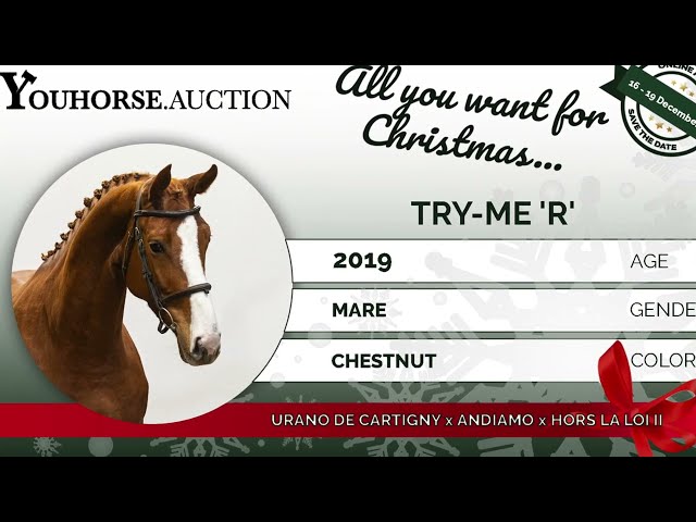 Try-me 'R'