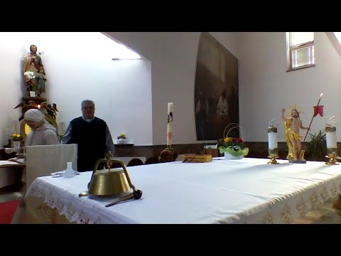 Prenos svete maše, Velikonočni ponedeljek, 13.4.2020
