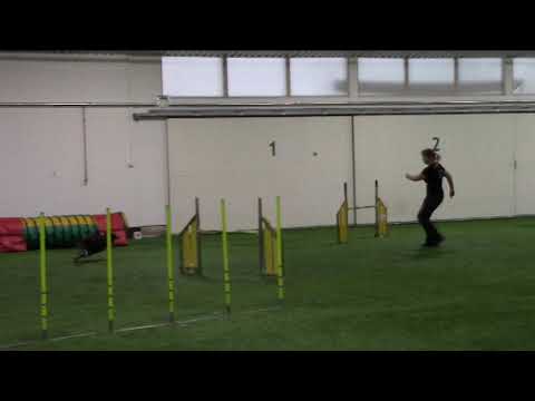 Janita & Fu & Dao 13.01.2019