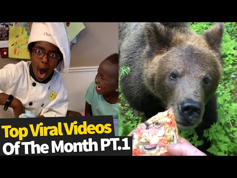 Top 25 Best Viral Videos Of The Month - June 2020 (Part 1)