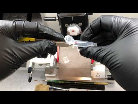 Slide seq tissue handling