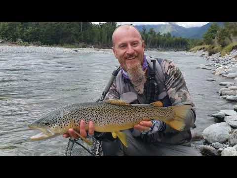 TRAILER: LAST TRIP OF 2021