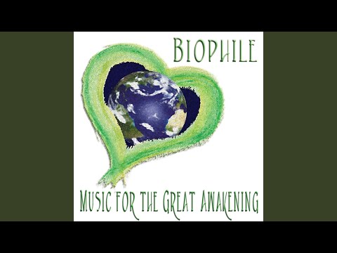 Cause for Celebration