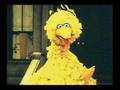 Sinsemillia Street With Krammit And Big Bird