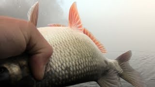 Октябрь какая рыба клюет в