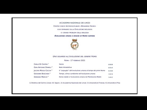 Evoluzione umana e origini di Homo Sapiens - sessione del 17 febbraio 2021