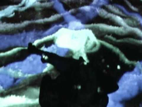 Semplice Moltiplicato 2