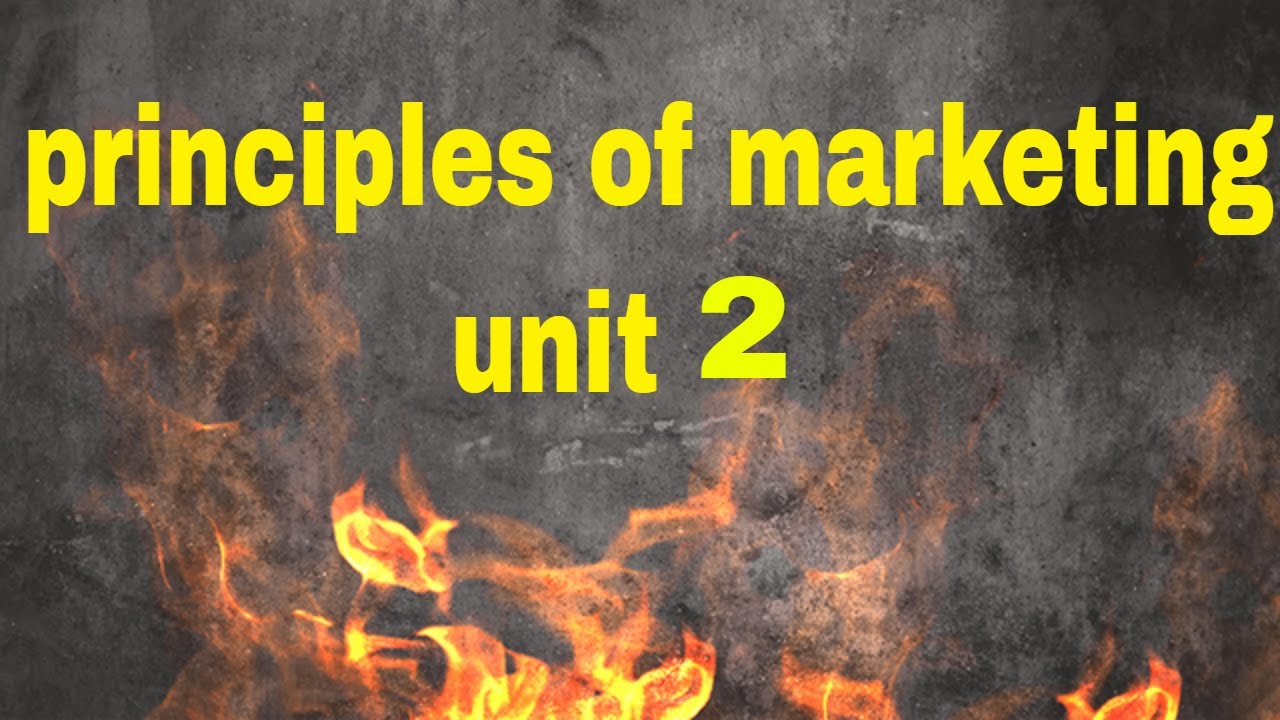 principles of marketing chapter 2 (the marketing enviroment)