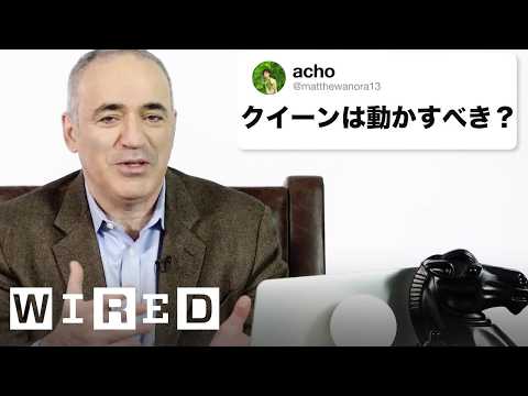 チェス世界チャンピオンだけど質問ある？ | 技術支援 | WIRED.jp (チェス世界チャンピオンだけど質問ある？ | Tech Support | WIRED.jp)