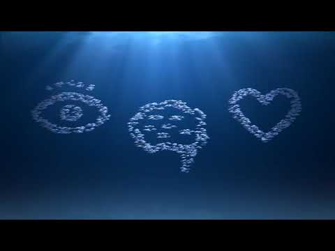 Riba Hrvatske - Jedi zdravo