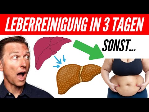 Leber reinigen in nur 3 Tage - Dr. Eric Berg zeigt wie! - Leberreinigung in 2024