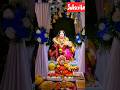 Did Divasachi Gaurai ️ Gauraiya Gauriganapati Gauripujanstatus 2024 Shorts Viralvideo