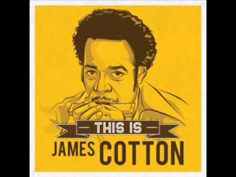 James Cotton Blues Band - Jelly Jelly