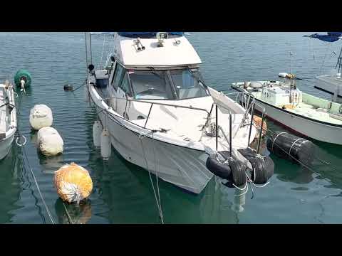 Yamaha FR 34 sea trial