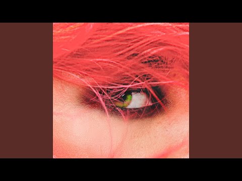 Paula Carolina DARF SIE DAS? song