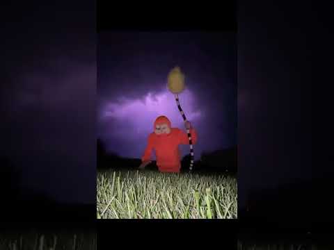 Macarena in the storm #lorax #fyp #instagramreels #funny #trending #macarena