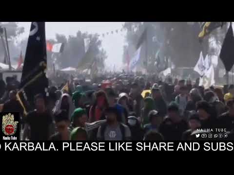 Live🔴 From Karbala | Najaf To Karbala Walk | Arbaeen Walk | 15 th Safar | Arbaeen 2020/1442