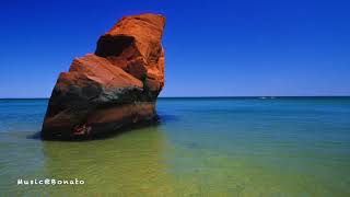 Elder Island - Bamboo