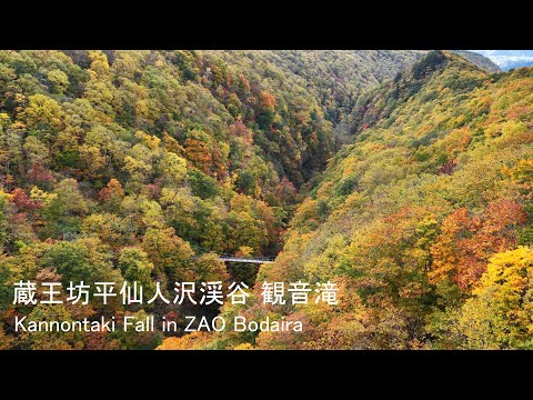 [4K] 🍁蔵王坊平・仙人沢「観音滝」紅葉絶景/ Autumn Colors at Kannon Falls, Senninsawa – Mt. Zao Japan