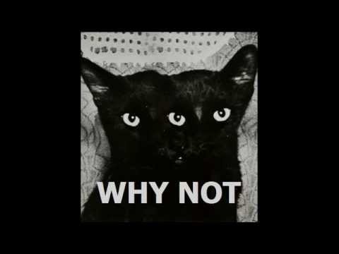 Fan-Made Trailer WHY NOT 20.06.15 - Ostpol Dresden