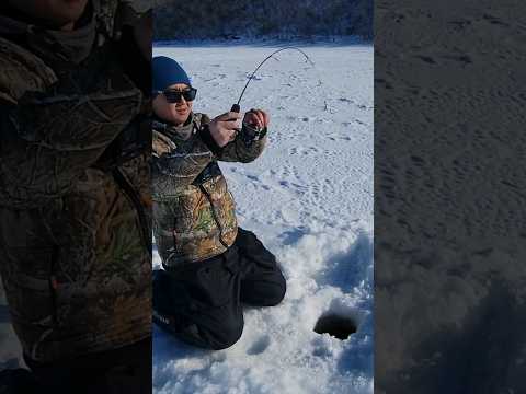 Big Fish on Tiny Rod Ice Fishing