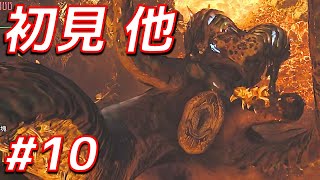 【初見】ヌ・エグドラ、そんなに黒い炎でもない　チャージアックス ソロ【MHWs実況/モンハンワイルズ】#10