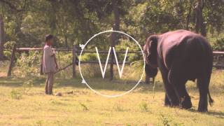 K.I.Z./Freed | Oskar der Elefant (FREED Bootleg)