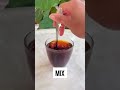 How to make molasses water