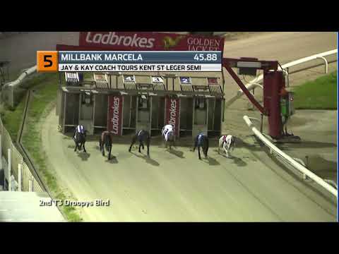 2020 KENT ST LEGER - 2ND SEMI - T5 MILLBANK MARCELA