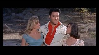 291 ONE BOY TWO  LITTLE GIRLS (série TOTAL ELVIS by Jmd).