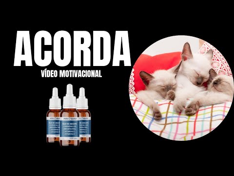 Insuglico estabiliza a glicose - (VÍDEOS MOTIVACIONAIS)  insuglico controla o açucar no sangue