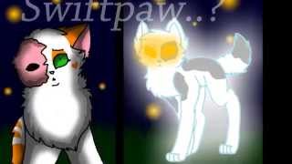[SLIDESHOW] Swiftpaw X Brightpaw - Miracles or Medicine