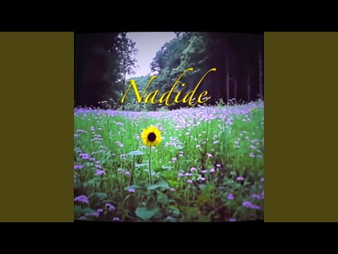 Reynmen – Nadide video