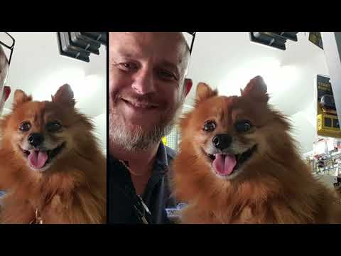 download lagu mp3 mp4 Bondi Junction Hardware, download lagu Bondi Junction Hardware gratis, unduh video klip Bondi Junction Hardware