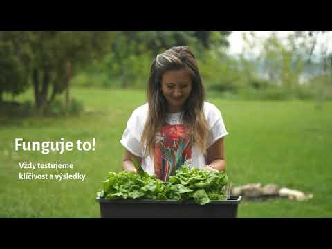 Objevte papír, který rozkvete!